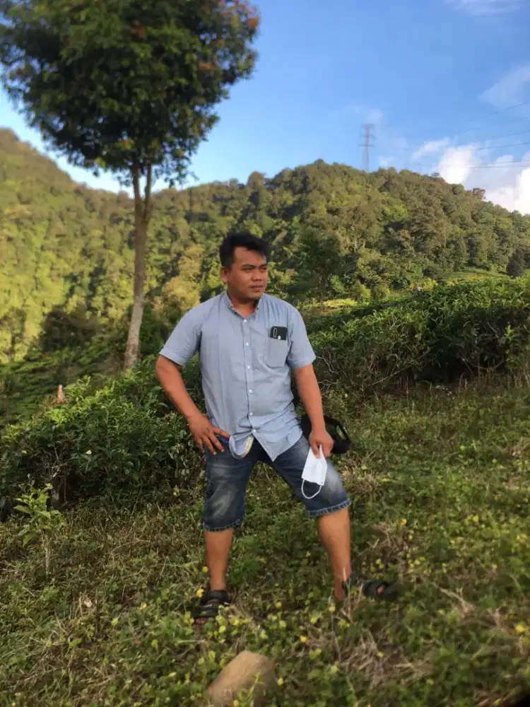 cari pekerjaan butuh