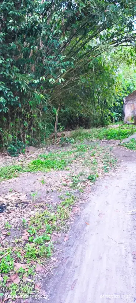 Dijual Tanah Jogja (Kecamatan Seyegan) luas strategis dekat jalan.