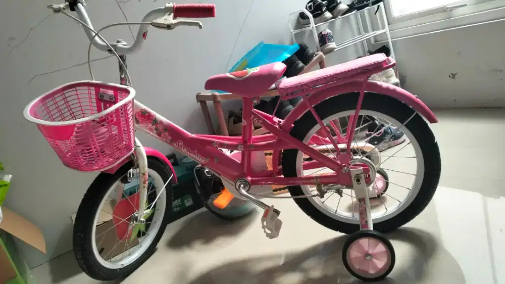 Wimcycle sepeda anak perempuan