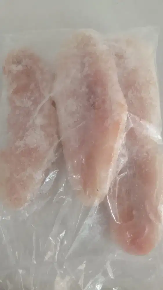 Filet Dori Kebutuhan MITRA SPPG MBG