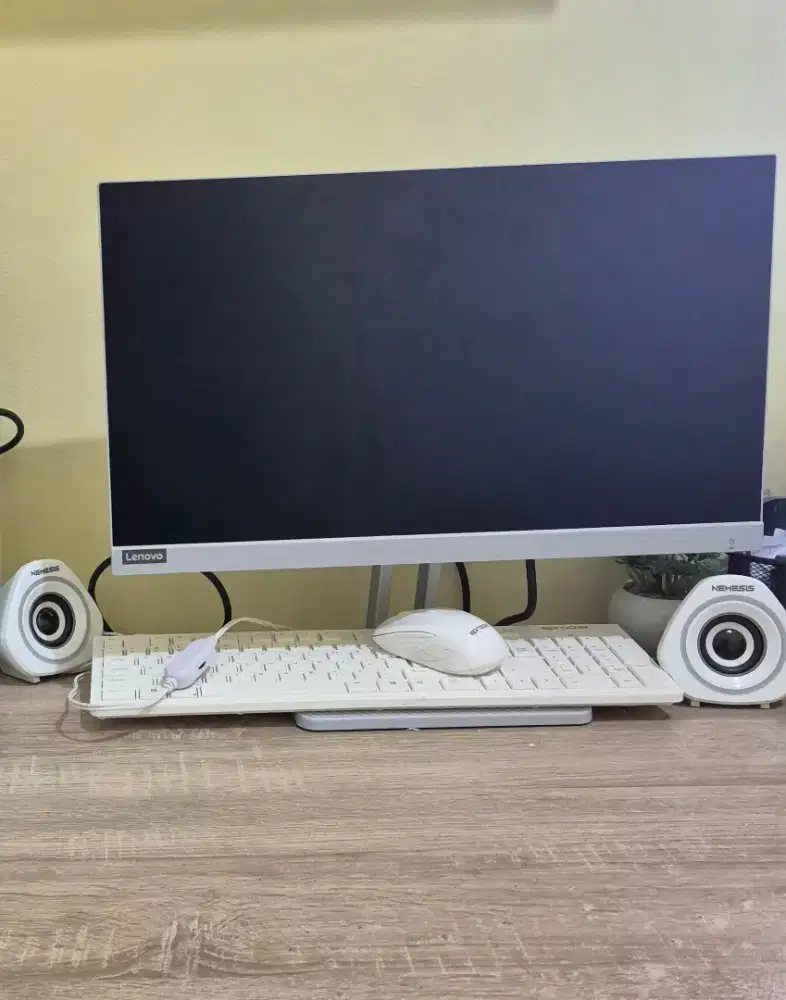 Monitor Lenovo L22e