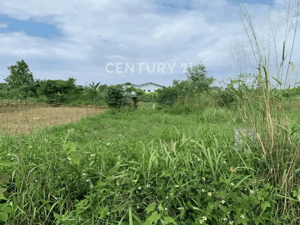 Tanah Murah Dan Luas Cocok Untuk Gudang Di Gunung Putri Bogor