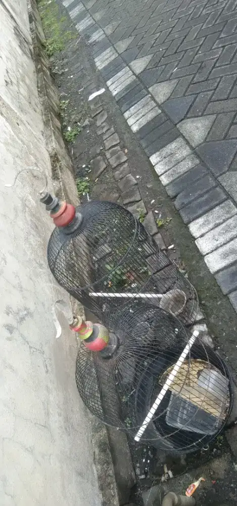 Kurungan bulat untuk burung