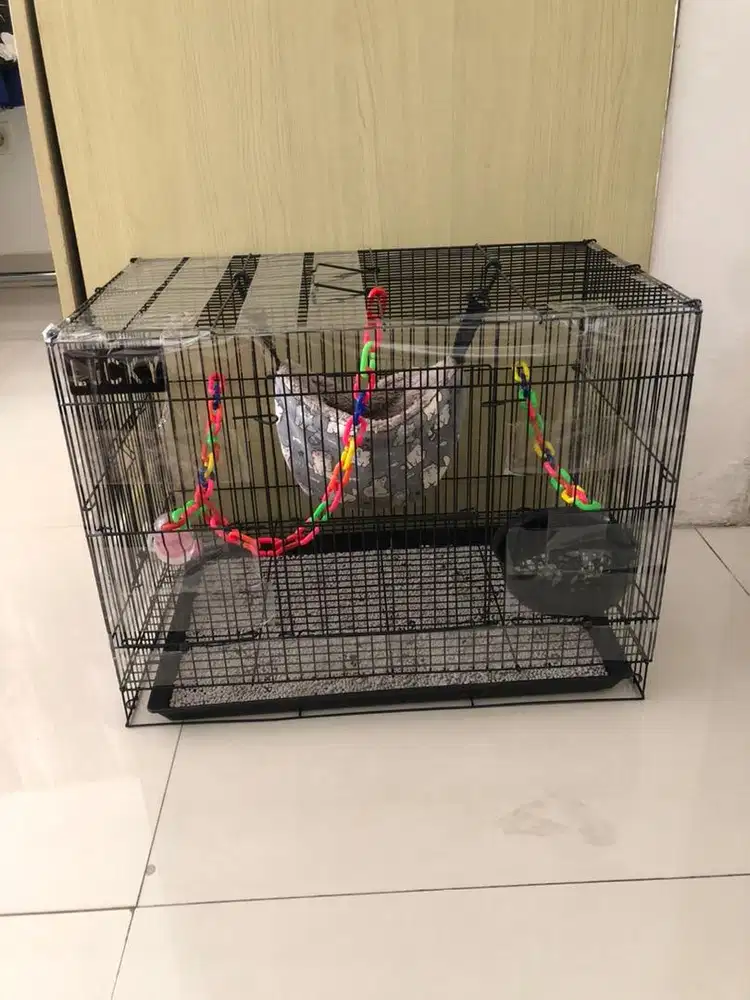 Sugar Glider dan Kandang