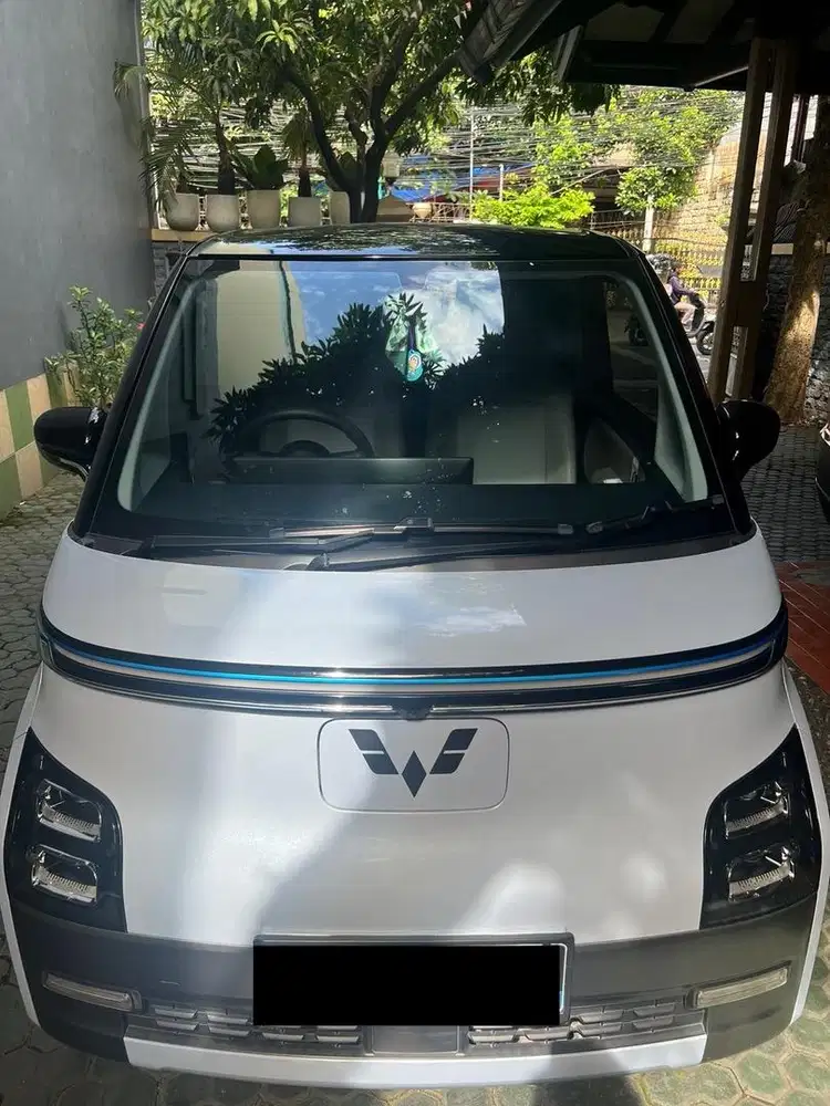Wuling airev long range 2023 include charger