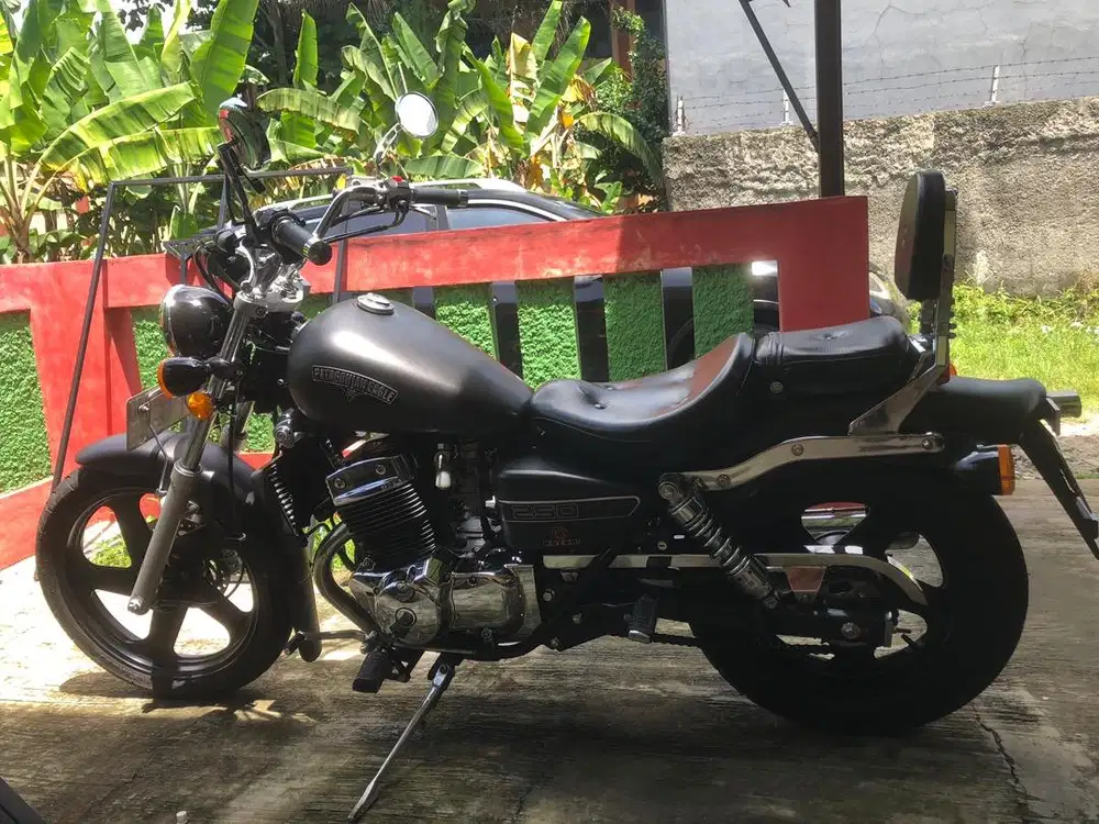 Benelli PE 250 karbu