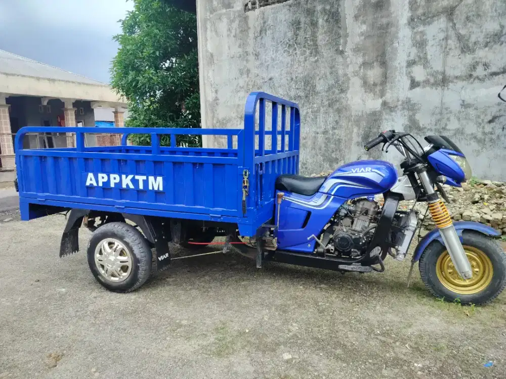 Viar 300 long no minus