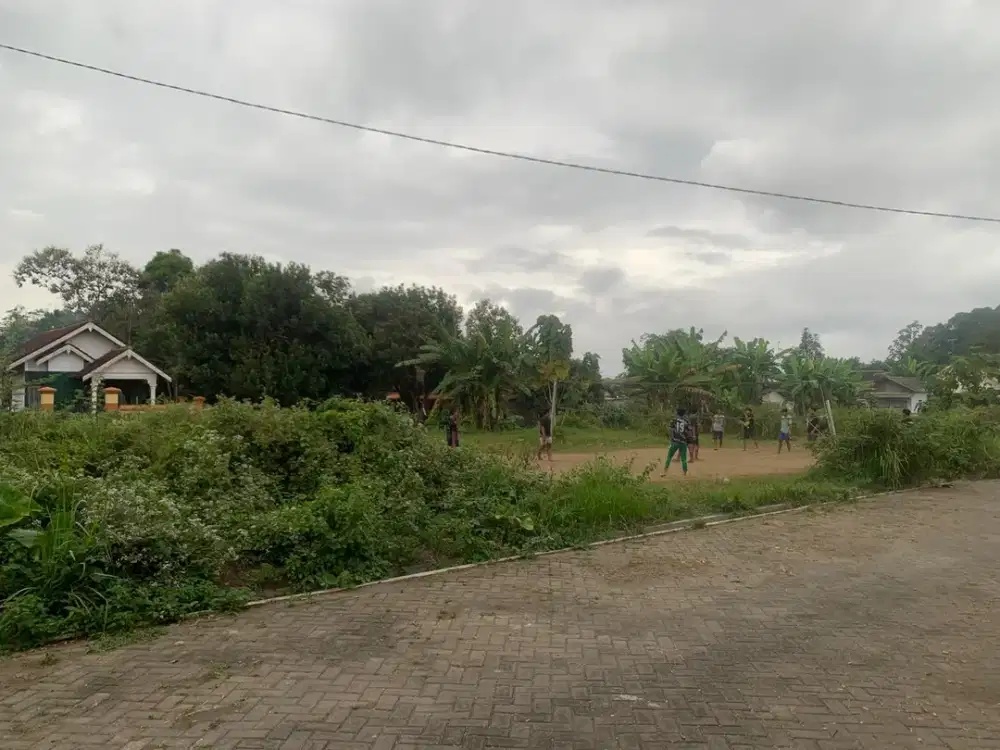 COCOK UNTUK DEVELOPER DAN INVESTOR, 13 KAVLING TANAH SIAP BANGUN SHM PER KAVLING TOTAL LUAS 1535 M2 DI SAWENTAR KANIGORO BLITAR