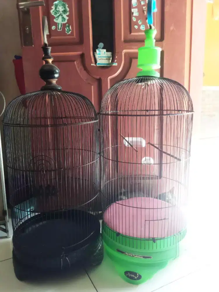 Sangkar burung Lovebird,konin