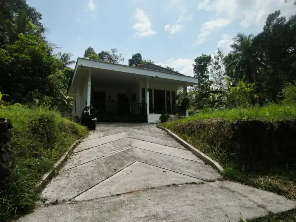 RUMAH DENGAN TANAH SANGAT LUAS DI KULONPROGO