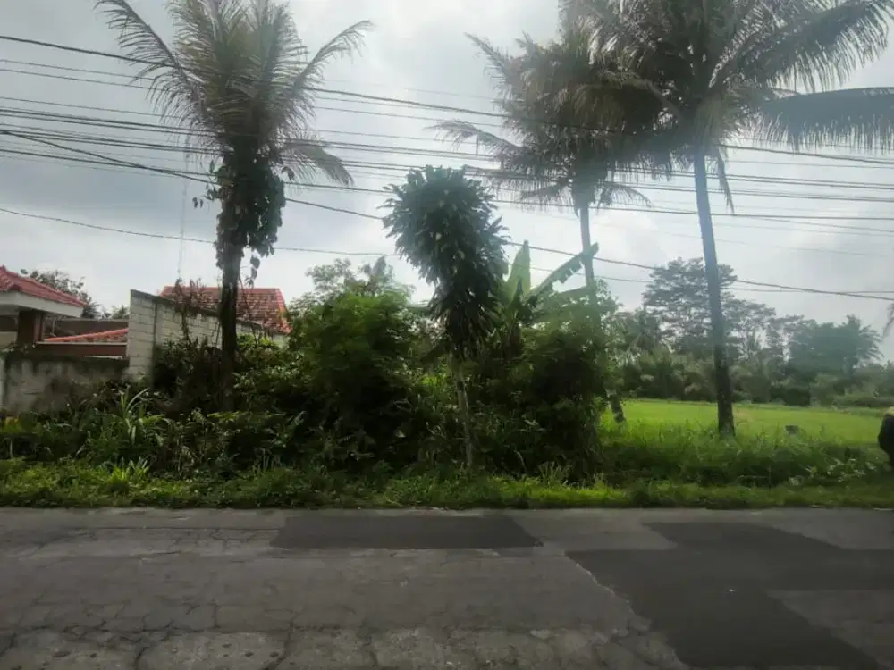 TANAH SAWAH DEKAT KAMPUS UII JAKAL