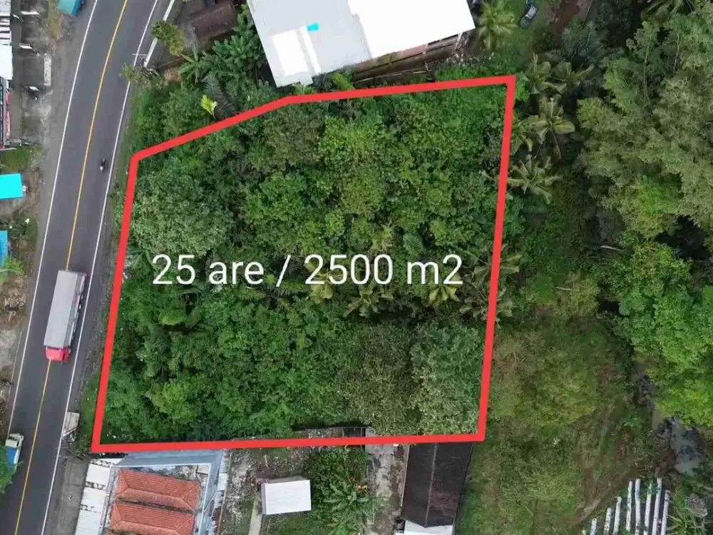 DIJUAL TANAH PINGGIR JALAN COCOK UNTUK SEGALA USAHA DI DENPASAR-GILIMANUK TABANAN BALI