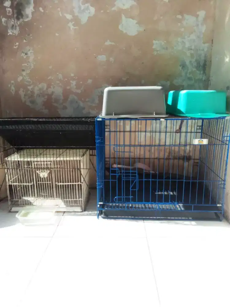 Kandang kucing dan keramba mandi burung