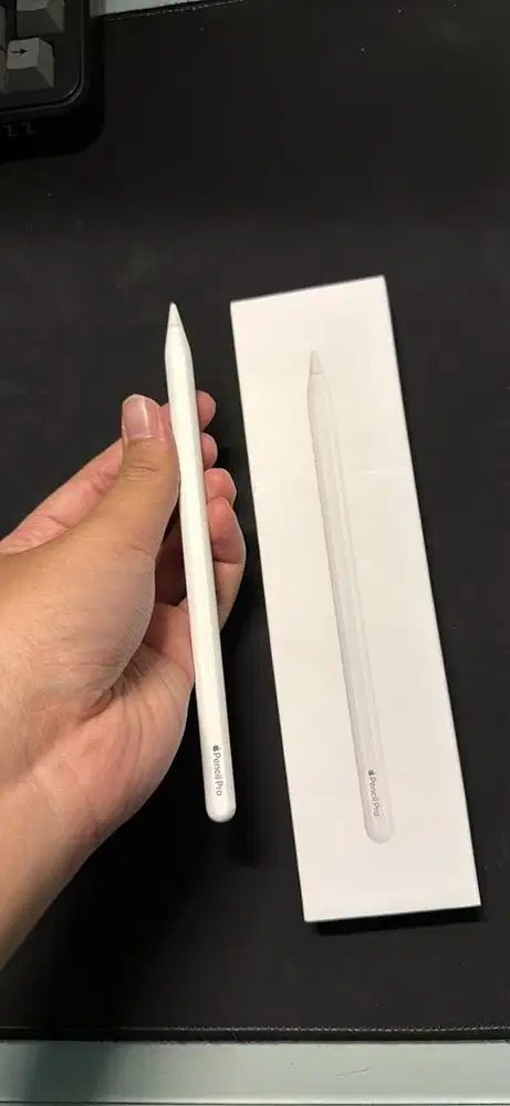 Apple Pencil Pro garansi sampai Juni