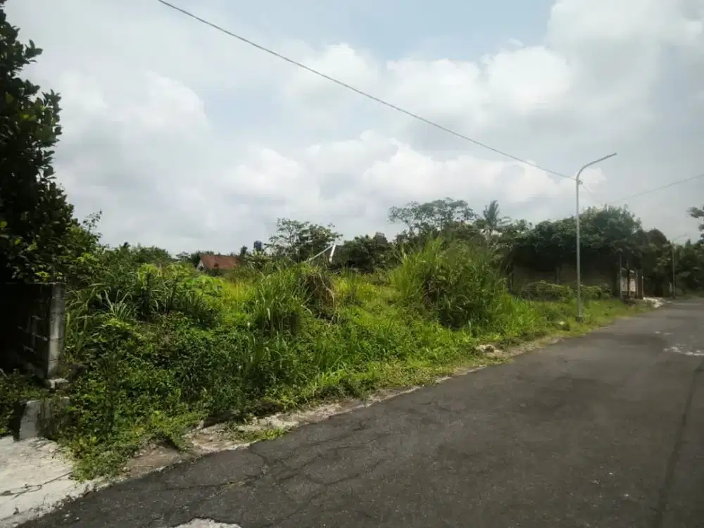 TANAH SAWAH DEKAT KAMPUS UII JAKAL