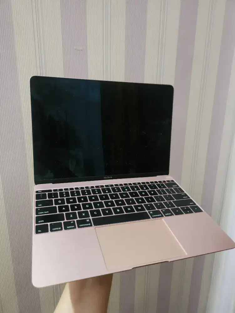 MACBOOK RETINA 2017 ROSE GOLD 8/512