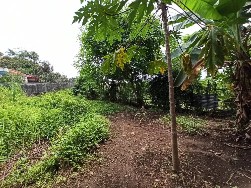 TANAH SELUAS 1078 METER PERSEGI DI JL TIMOR-TIMOR, DEKT JAKAL KM 6