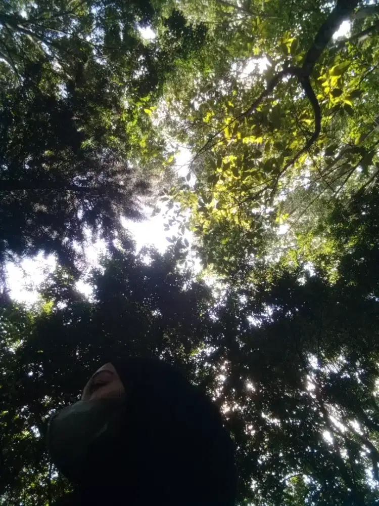 Jasa rawat taman dan tanaman