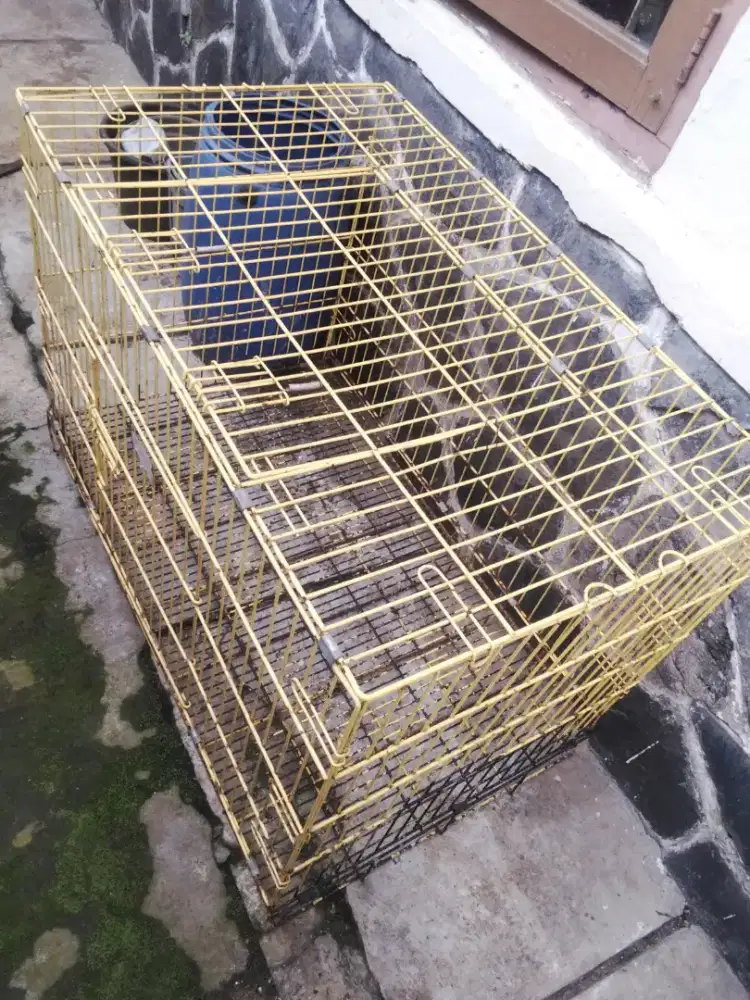 Kandang plus Litter box Ukuran Besar