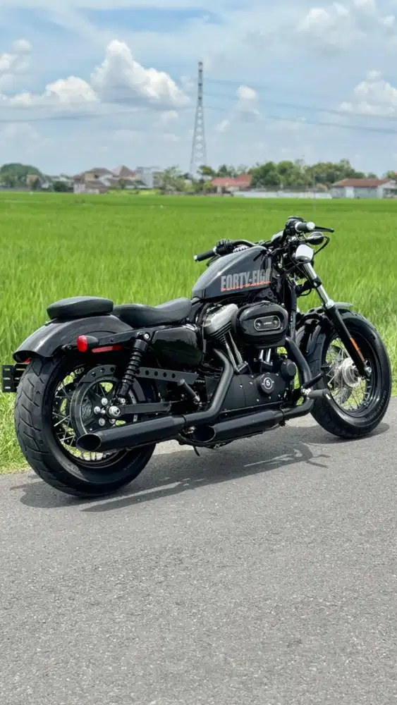 Harley davidson Sportster 48 2015