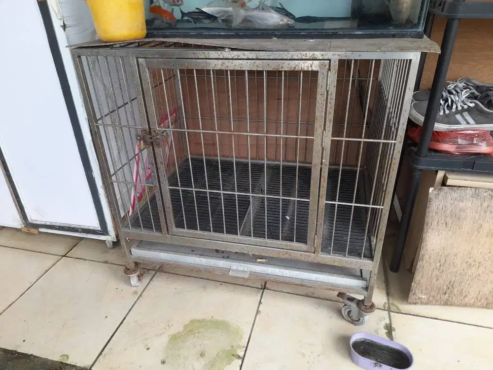 Kandang aniing/kucing