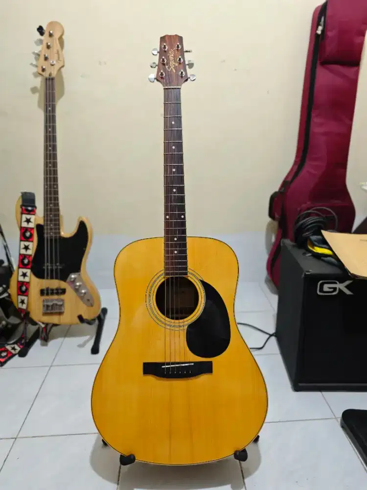 Segovia DN-07 GN Akustik/Elektrik