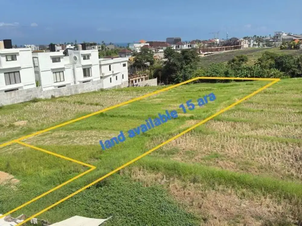 Land 15 Are For Lease Near Seseh Beach