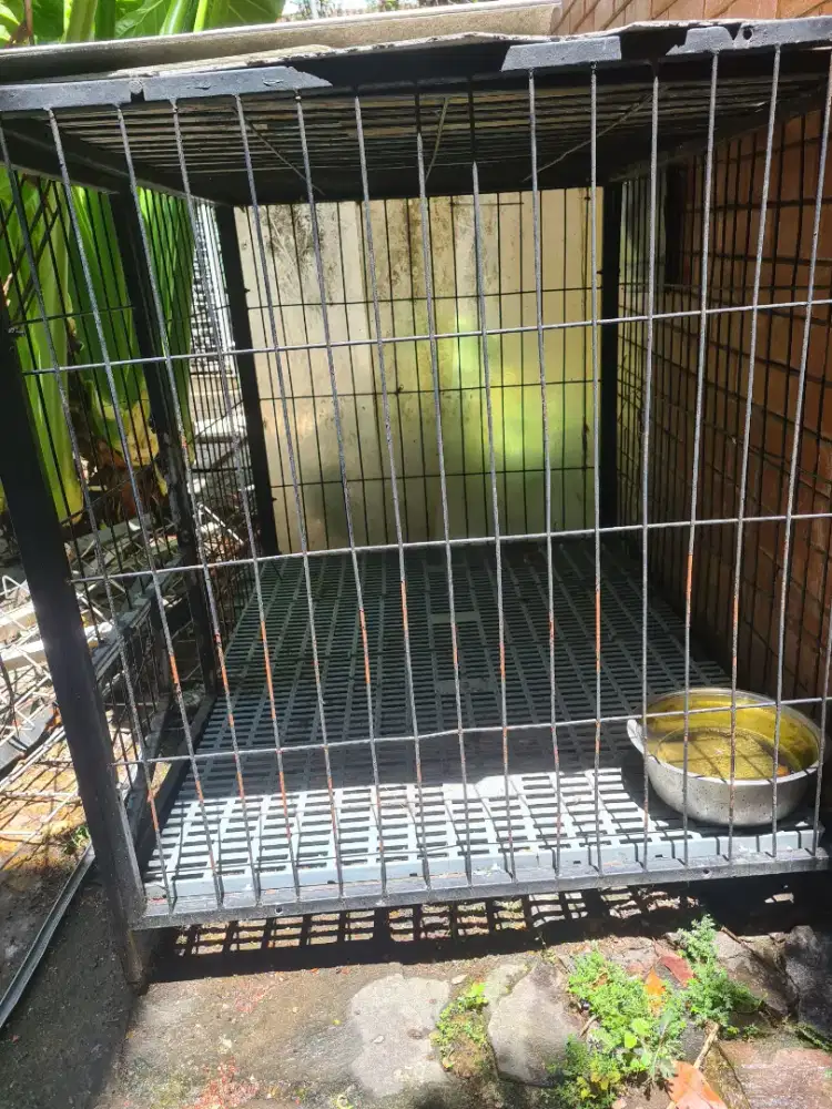 Kandang Anjing knock down