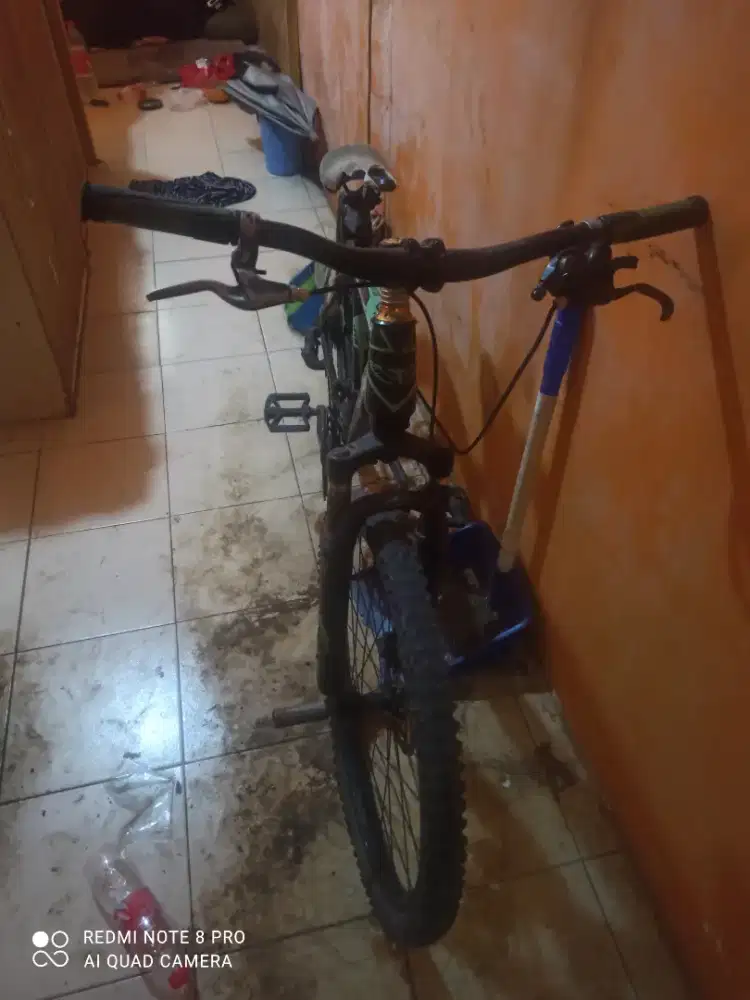 Sepeda Aviator apa adanya