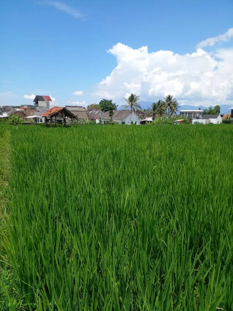 Tanah Strategis Dekat Kampus & Kantor PU Garut - Jl. Raya Samarang