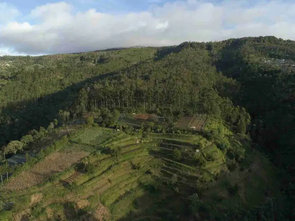 Dijual Tanah cocok untuk resort/villa hotel/ wellness centre/retreat/escape Di Lembang Bandung