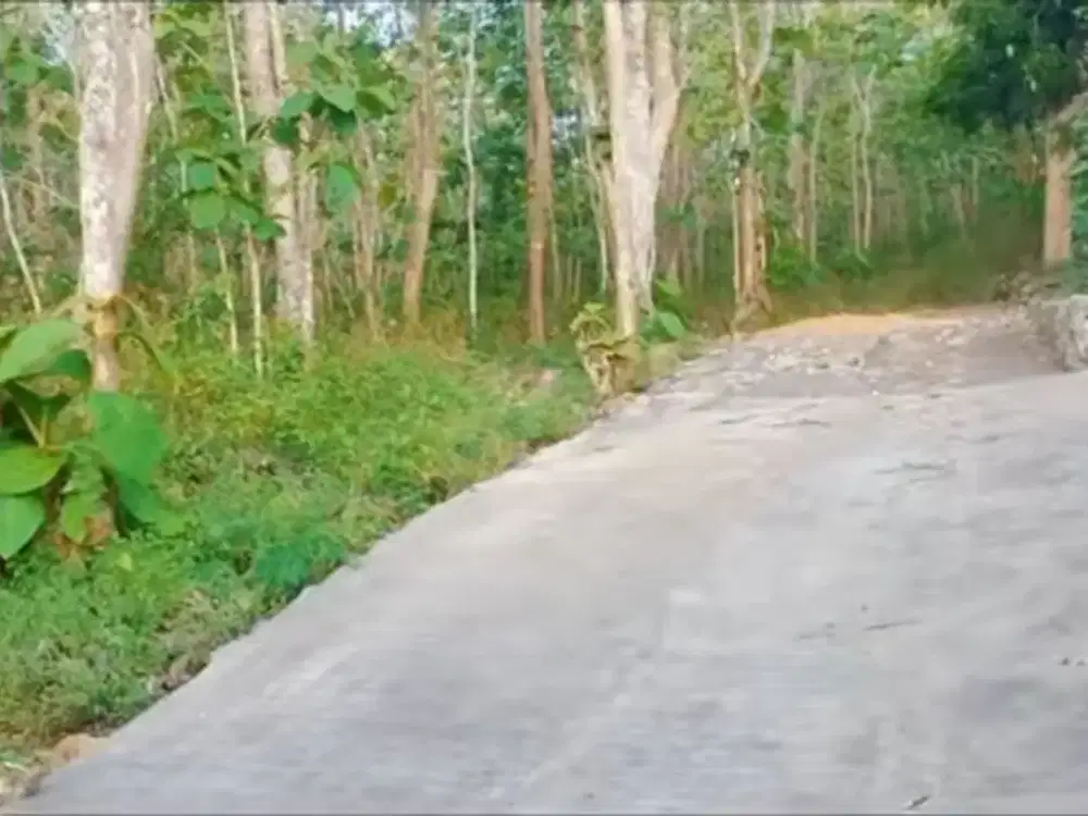 Tanah Murah Pekarangan