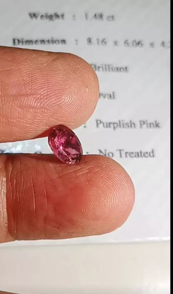 Natural Tourmaline + Sertifikat permata cantik Murah