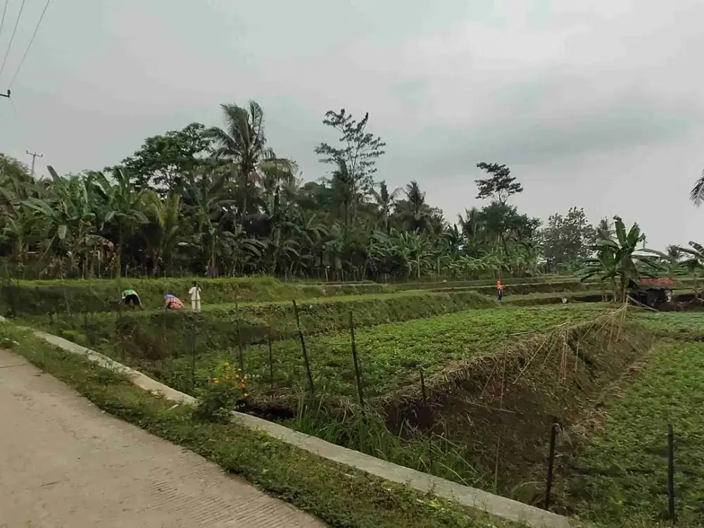 Tanah kebun dan Sawah bisa akses Mobil di Ligarmukti Bogor