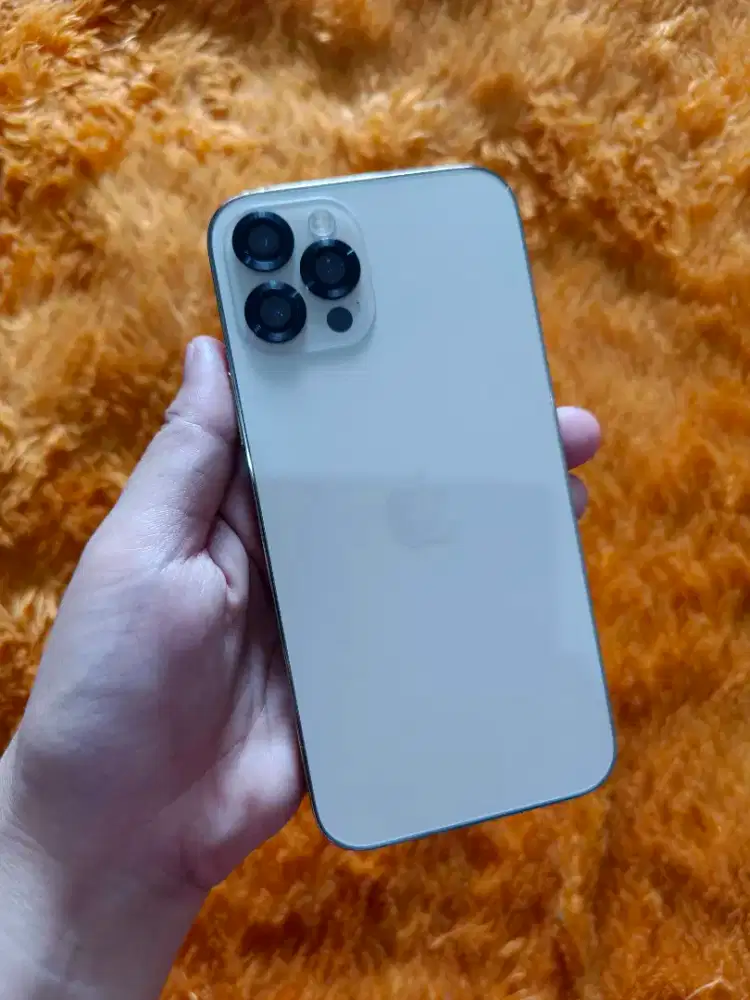 iPhone 12 pro 256GB mulus exp inter