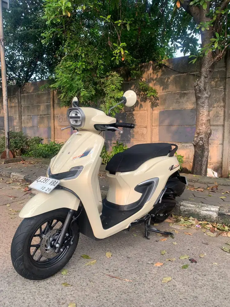 DP1JT STYLO 2024 KM9RB CASH CREDIT