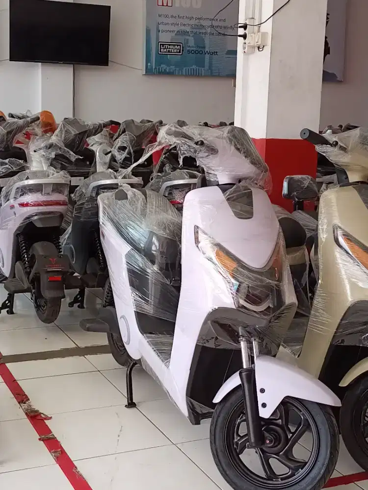 Sepeda listrik u winfly