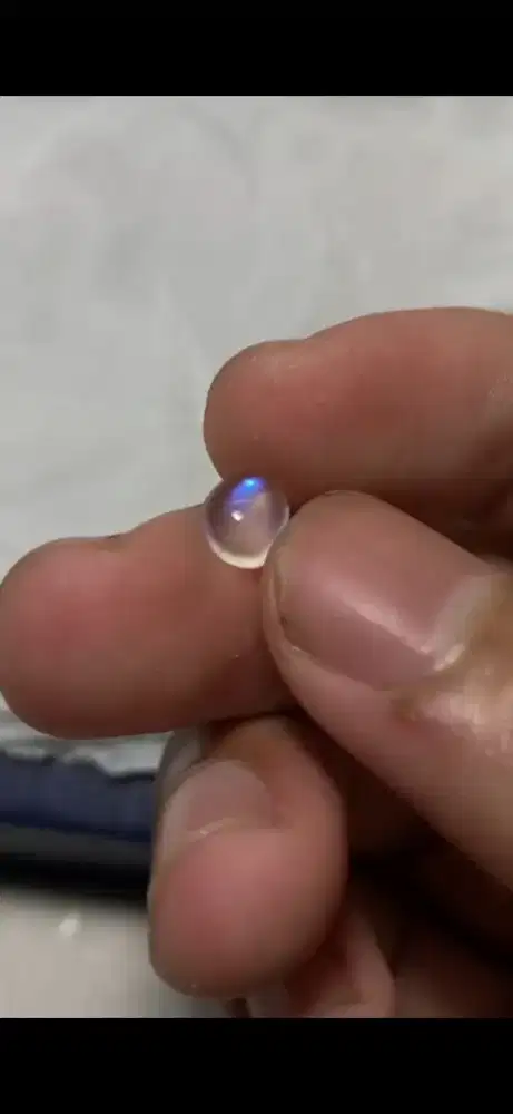 Duri bulan cylon Srilanka