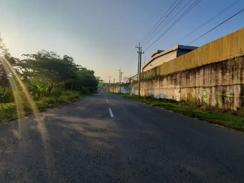 Investasi Tanah Jogja Barat Dekat Bandara YIA Dan Exit Tol Banguncipto