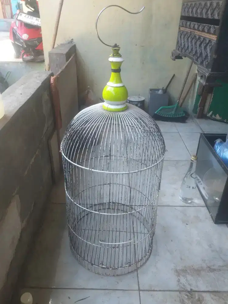 Kandang lb lumayan di BSD