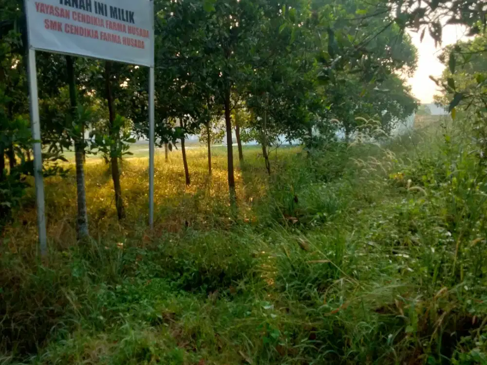 DI JUAL TANAH 300 M2 DEKAT KAMPUS ITERA DAN EXIT TOL KOTABARU