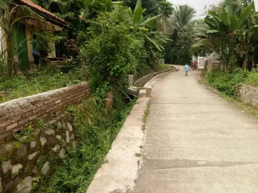 Dijual Murah Kebun Produktif di Jatiluhur Dekat Kota Purwakarta