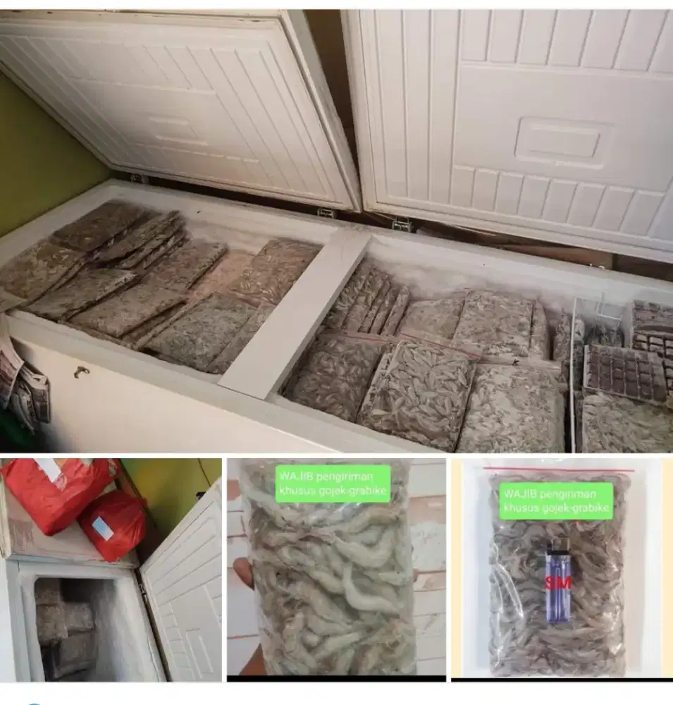 Udang beku pakan ikan predator/arowana