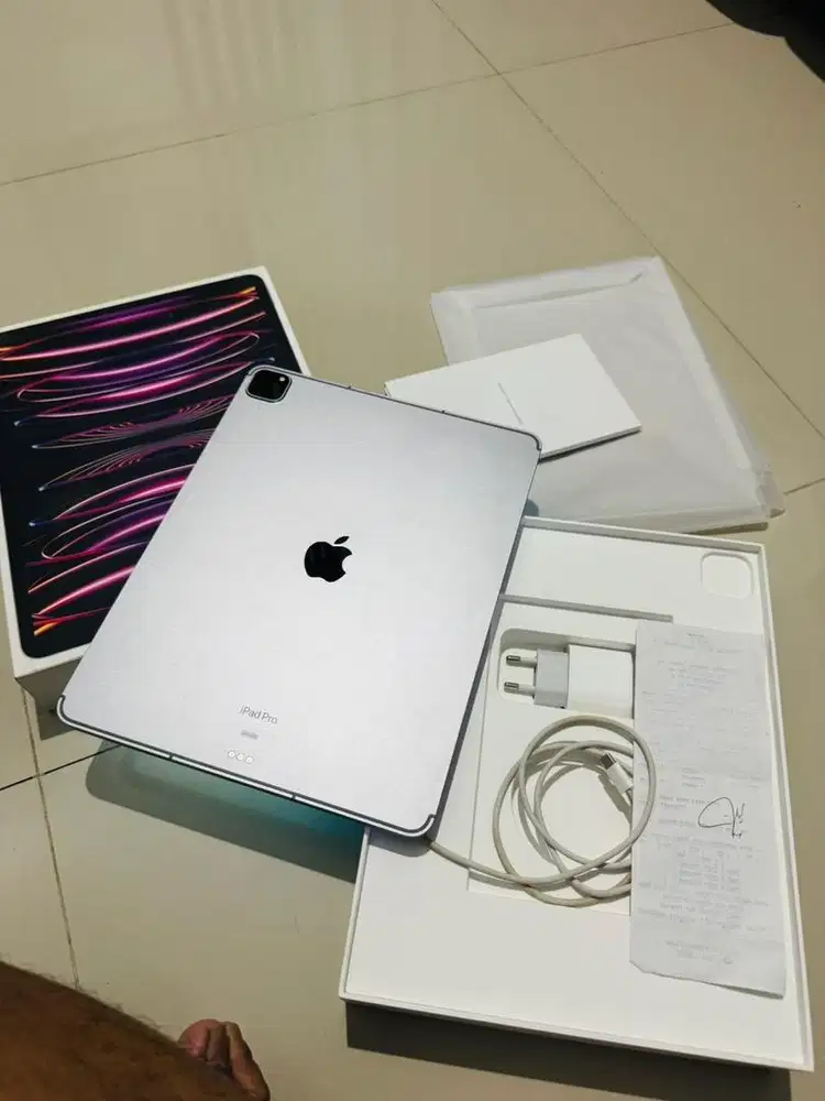ipad pro m2 13 inc 256 seluler IBOX