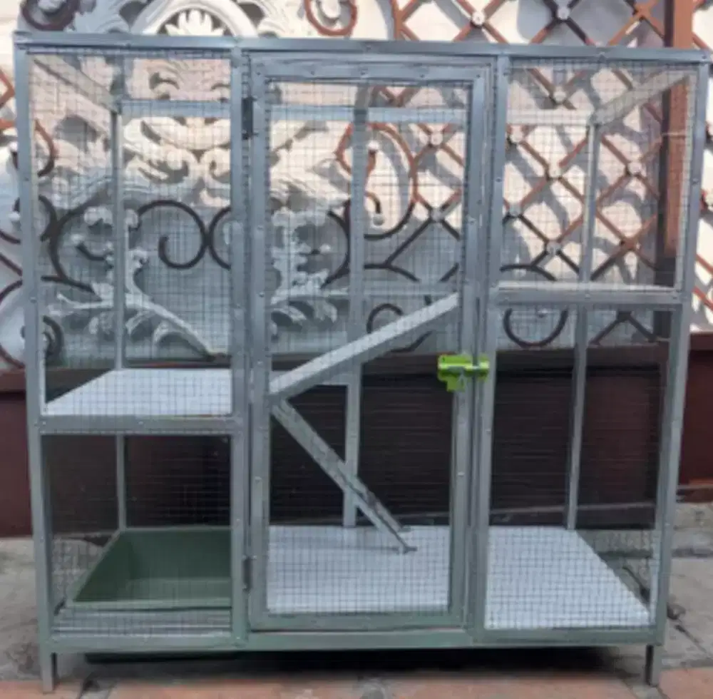 Kandang gavalum jumbo bisa pesan lokasi surabaya