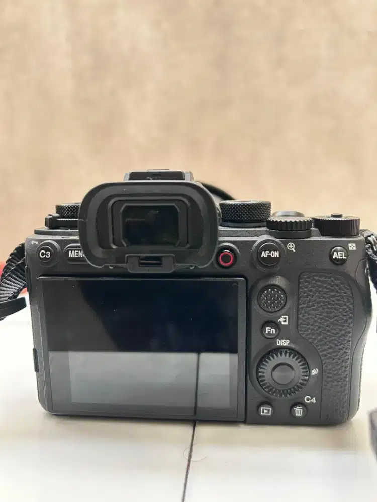 Sony Alpha 1 (a1) + Sony FE 28-70 mm G2 GM