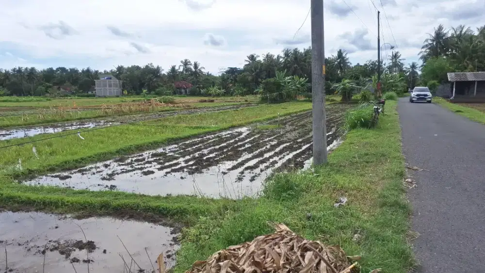 DIJUAL TANAH SAWAH