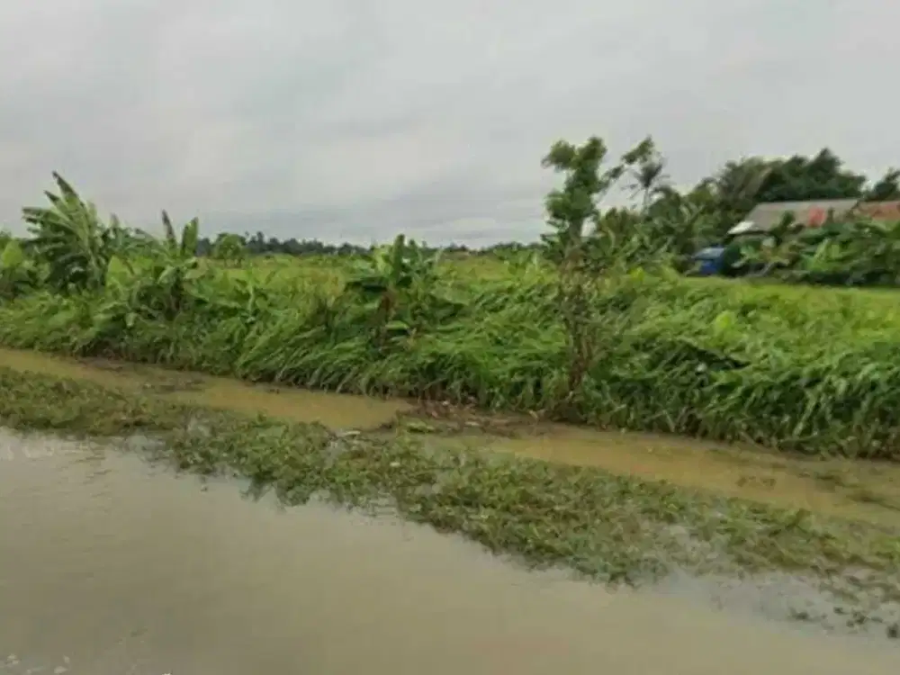 Tanah buat Pabrik, Industri dan Gudang 10 menit ke TOL Balaraja Barat