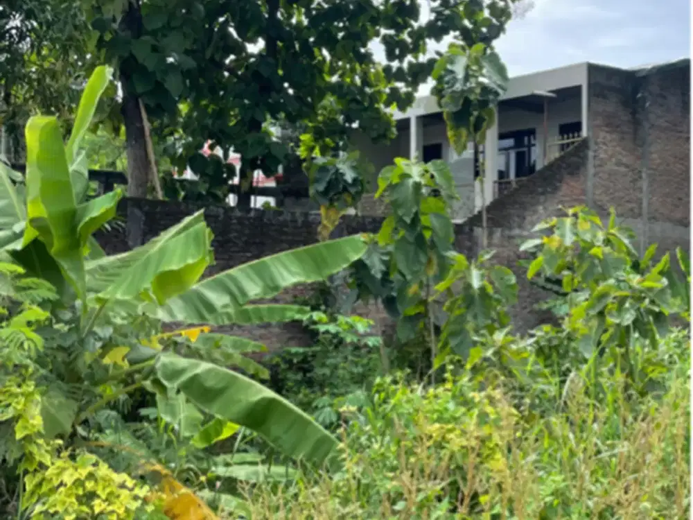 jual tanah murah di lingkar delanggu tanpa perantara