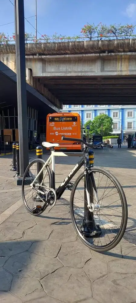 Sepeda Fixie Viva Prompt/Cinelli Prompt